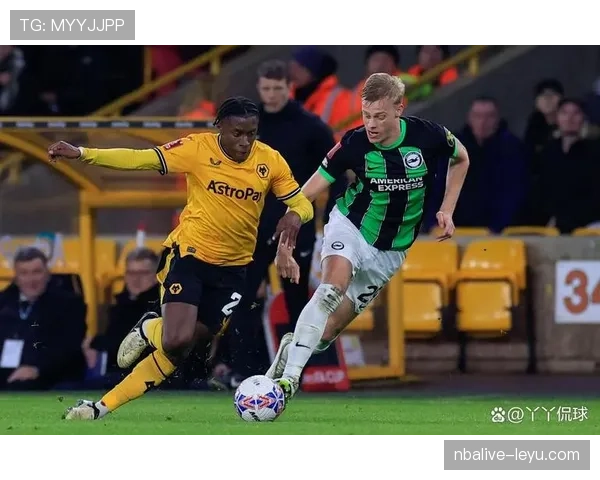 南安普顿主场迎战热刺,英超关键积分战一触即发 南安普顿主场迎战热刺,英超关键积分战一触即发