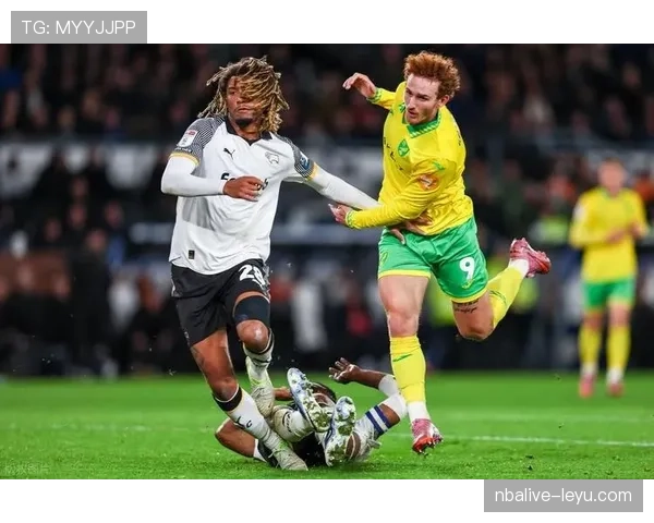 诺维奇降级补偿 诺维奇降级补偿